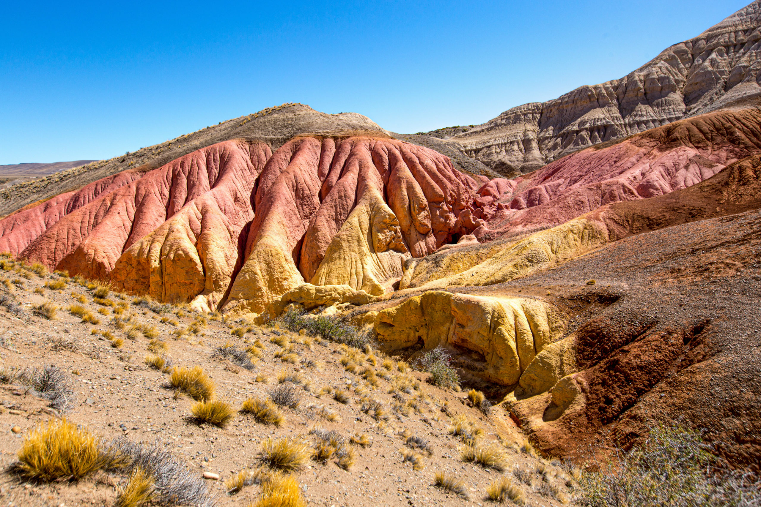 Parque Nacional Patagonia, argentina