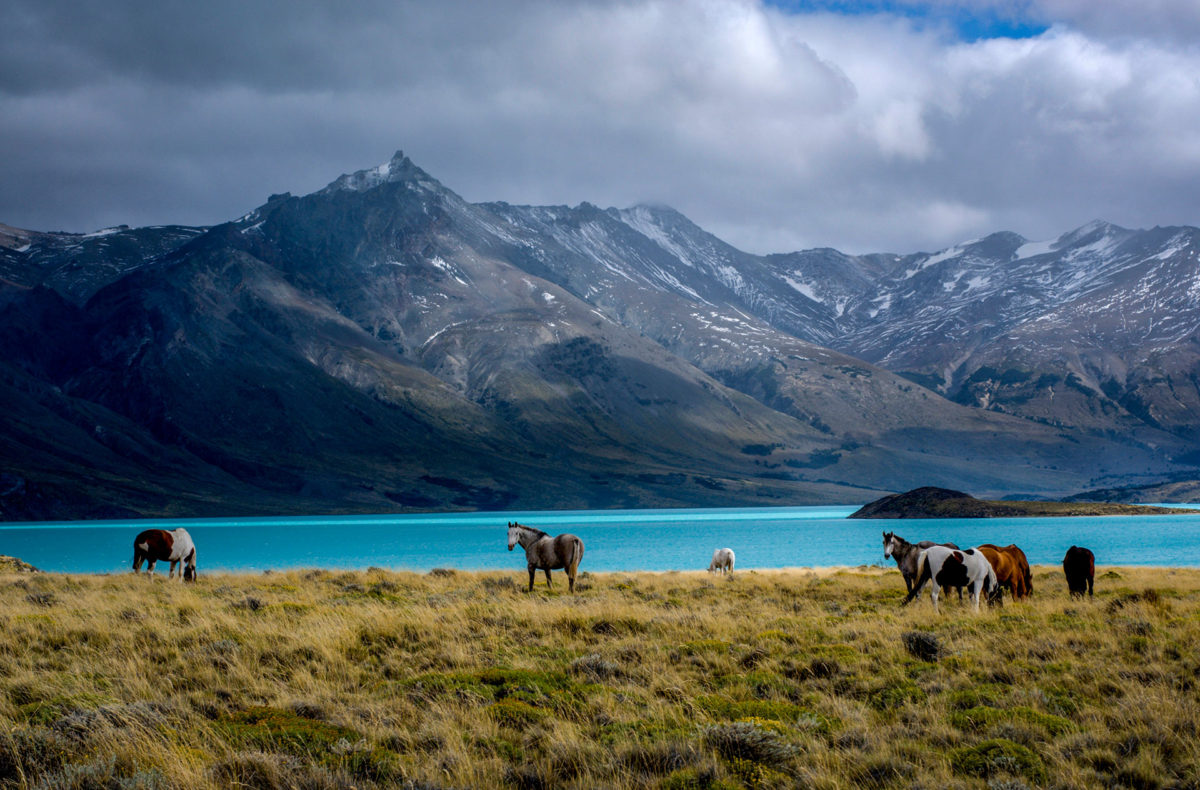 parque nacional perito moreno