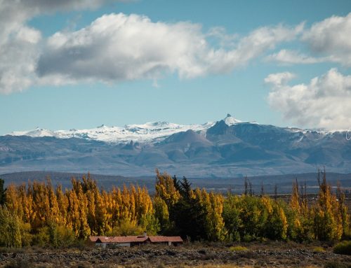 La Serena | Estancia en la Patagonia Sur, Santa Cruz