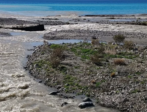 La crecida del Arroyo Pedregoso: la fuerza del agua en la Patagonia Sur.
